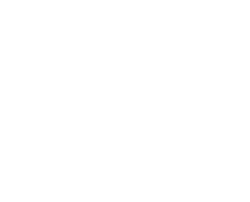 Whistle Logo White