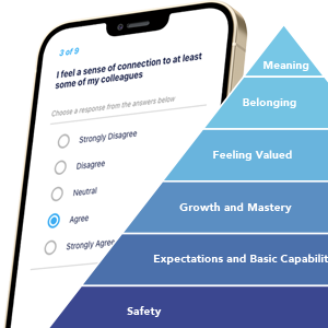 Employee Loyalty Index Hierarchy of needs